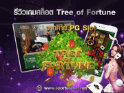 รีวิวเกมส์ Tree of Fortune รีวิวเกมสล็อต Tree of Fortune